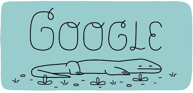 Komodo National Park Quiz Doodle